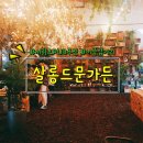 살롱드문(salon de moon)