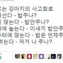 멍멍이 사고의 흐름 이미지