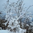 설악산 및 가리봉산 설경 (24.2.29) 이미지