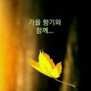 운좋은날 이미지