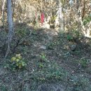 곰재농장 이미지