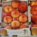 남경농장 이미지