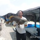 k3바다낚시터 이미지