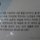 한향림 옹기박물관 이미지