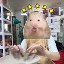 도예로 힐링하기 이미지