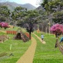 대흥동 유아숲체험원 이미지