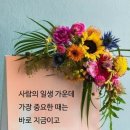 (주)시네마비젼 이미지