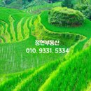 정현공인중개사사무소 이미지