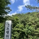 [영월]영월계곡펜션 추천 엄둔밸리펜션 무릉도원면 영월단체펜션