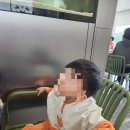 카페하루 | 아이와 함께 가볼 만한 담양 대형 카페, &#39;더하루&#39; 솔직후기