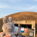 세계에 앞서가는 한국 어린이 주식회사 | 경주 여행 코스 천마총 유적지 가볼 만한 곳 입장료 방문 후기