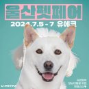 2024년 울산펫페어 방문