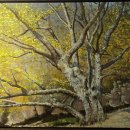 회귀(回歸) 이미지