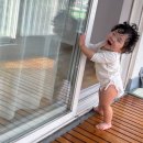 와와로 | 13개월⎮고집쟁이 꼬꼬마 이딱콩