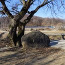 석일농장 이미지