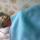 현가정의원 이미지