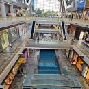 코틴하우스 이미지