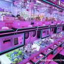 탑 뽑기방 이미지