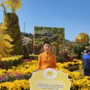 전남 장성 황룡강 노란꽃 축제 여행 이미지