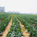 농산물관리원사무소앞 이미지