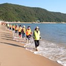 노르딕워킹 이미지