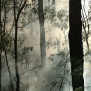 금호왕족발보쌈 이미지