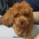 구평동물병원 이미지