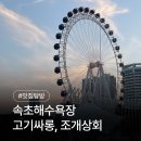 속초상회 | 내돈내산 속초해수욕장 고기싸롱, 조개상회 후기