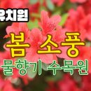 물향기유치원 이미지