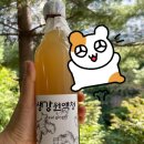 야탑교 이미지
