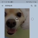 우주개스타 이미지