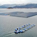 그린발전소2 태양광발전소 이미지