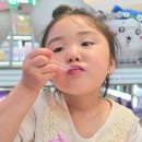 싱가포르 쥬얼창이공항 후기｜아이와 둘이 다녀온 방문기