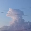 좌수영로 이미지