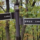 동두천-006 이미지