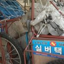 협동경로당 이미지