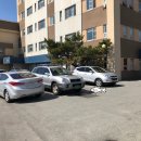 고창군청(주차장) 이미지