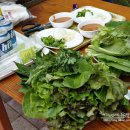 용문산야생화마을 이미지