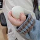 해운대 센트럴호텔 이미지