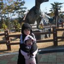 고성박물관 이미지