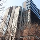 새빛안경콘택트 이미지