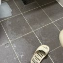 네모의꿈 | [네모의 꿈] 줄눈 시공 내돈내산 만족후기