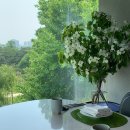 꽃과나무 이미지