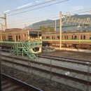 2024-주213 이미지