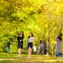 가을 - 성북구 | 가을