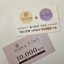 개이쁘다 이미지