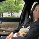 지에25논현동우점 | 2025 2-1 (부제:알쭈)