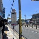 기장초등학교 | 부산 기장 맛집 / 우동집 계속 생각나는 김초밥 추천