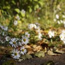 어진박물관 이미지