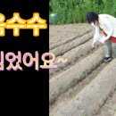 김원섭농장 이미지